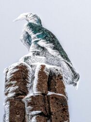 Winter in der Rhön 2022/23. Impressionen von der Wasserkuppe fotografiert von Diana und Mike Rahn. Winter in der Rhön 2022/23. Impressionen von der Wasserkuppe fotografiert von Diana und Mike Rahn.