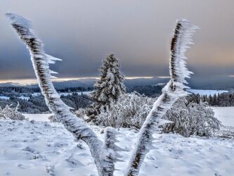 Winter in der Rhön 2022/23. Impressionen von der Wasserkuppe fotografiert von Diana und Mike Rahn. Winter in der Rhön 2022/23. Impressionen von der Wasserkuppe fotografiert von Diana und Mike Rahn.